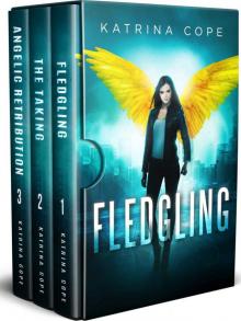 Afterlife BoxSet