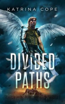 Divided Paths Divided Paths