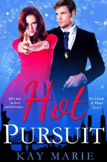Hot Pursuit (To Catch a Thief Book 1)
