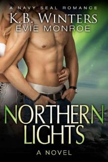 Northern Lights: A Novel: A Navy SEAL Romance Northern Lights: A Novel: A Navy SEAL Romance