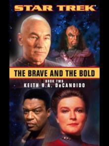 The Brave and the Bold Book Two The Brave and the Bold Book Two