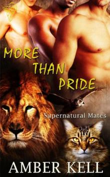 More Than Pride More Than Pride