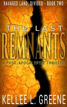 The Last Remnants