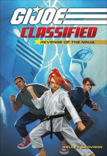 Revenge of the Ninja