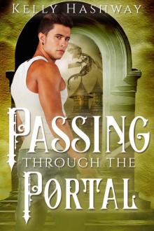 Passing Through the Portal (Fading Into the Shadows Book 0)
