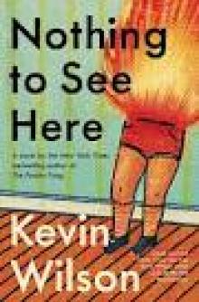 Nothing to See Here Nothing to See Here