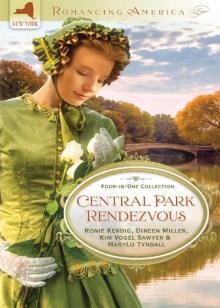 Central Park Rendezvous Central Park Rendezvous