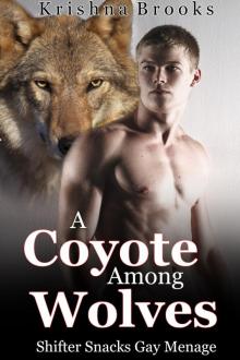 A Coyote Among Wolves ( Gay Menage)