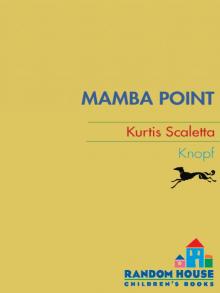 Mamba Point