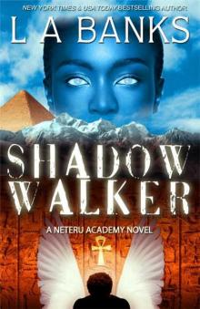 Shadow Walker (Neteru Academy Books) Shadow Walker (Neteru Academy Books)