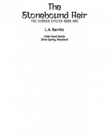 The Stonebound Heir