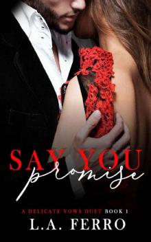 Say You Promise (A Delicate Vows Duet Book 1)