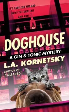 Doghouse Doghouse