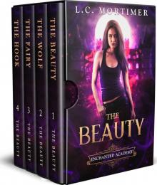 Enchanted Academy Box Set