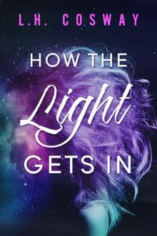 How the Light Gets In: The Cracks Duet Book Two