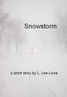 Snowstorm Snowstorm