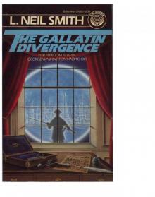 The Gallatin Divergence The Gallatin Divergence