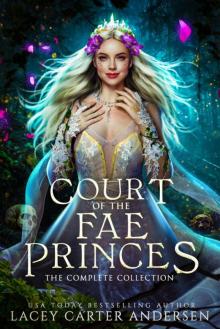 Court of the Fae Princes: The Complete Collection Court of the Fae Princes: The Complete Collection