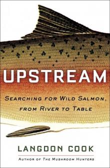Upstream Upstream