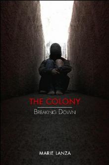 The Colony (Book 3): Breaking Down The Colony (Book 3): Breaking Down