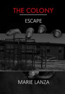 The Colony (Book 4): Escape