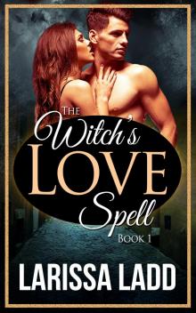 The Witch's Love Spell Book One