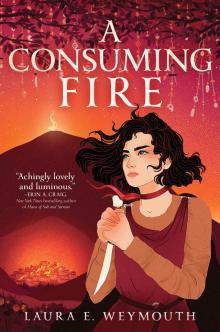 A Consuming Fire A Consuming Fire