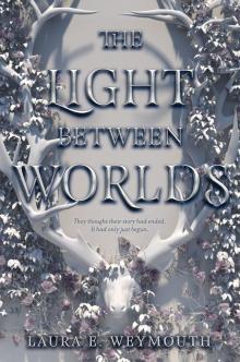 The Light Between Worlds The Light Between Worlds