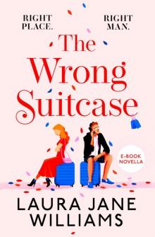 The Wrong Suitcase The Wrong Suitcase