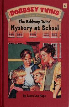 Bobbsey Twins_Mystery at School