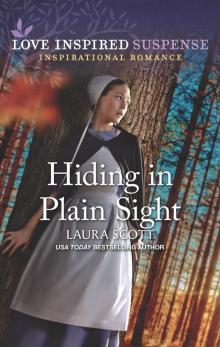 Hiding in Plain Sight Hiding in Plain Sight