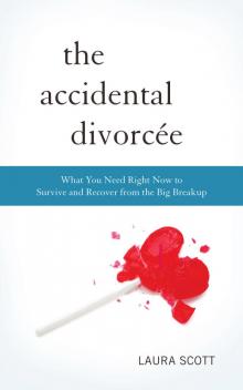 The Accidental Divorcee The Accidental Divorcee
