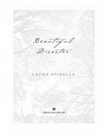 Beautiful Disaster Beautiful Disaster