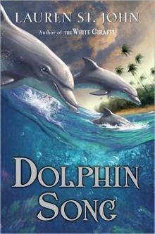 Dolphin Song Dolphin Song