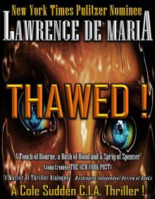 THAWED! (Cole Sudden C.I.A. Thrillers Book 3)