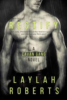 Rectify Rectify