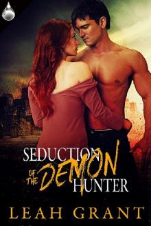 Seduction of the Demon Hunter Seduction of the Demon Hunter