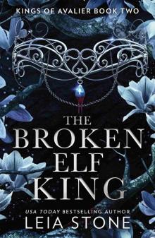 The Broken Elf King The Broken Elf King
