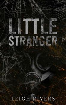 Little Stranger: A Dark Taboo Romance