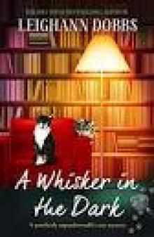 A Whisker in the Dark A Whisker in the Dark