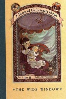 A Series of Unfortunate Events #3: The Wide Window: Or, Disappearance! A Series of Unfortunate Events #3: The Wide Window: Or, Disappearance!