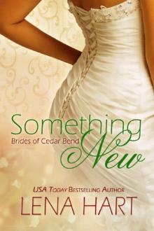 Something New (Brides of Cedar Bend Book 2)