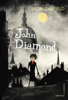 John Diamond (Vintage Childrens Classics) John Diamond (Vintage Childrens Classics)