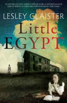 Little Egypt (Salt Modern Fiction)