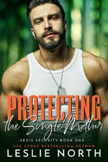 Protecting the Single Mother (Aegis Security Book 1)