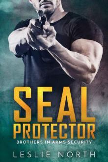 SEAL Protector (Brothers In Arms Book 2) SEAL Protector (Brothers In Arms Book 2)