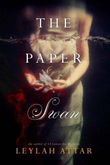 The Paper Swan The Paper Swan