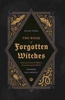The Book of Forgotten Witches
