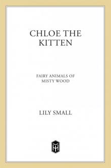 Chloe the Kitten Chloe the Kitten