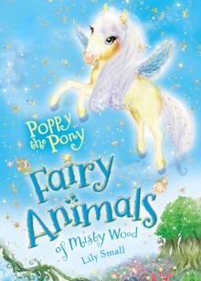 Poppy the Pony